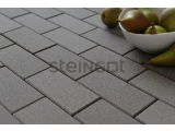 Тротуарная плитка Steingot Прямоугольник 200*100*60 Серый (полный прокрас, минифаска)